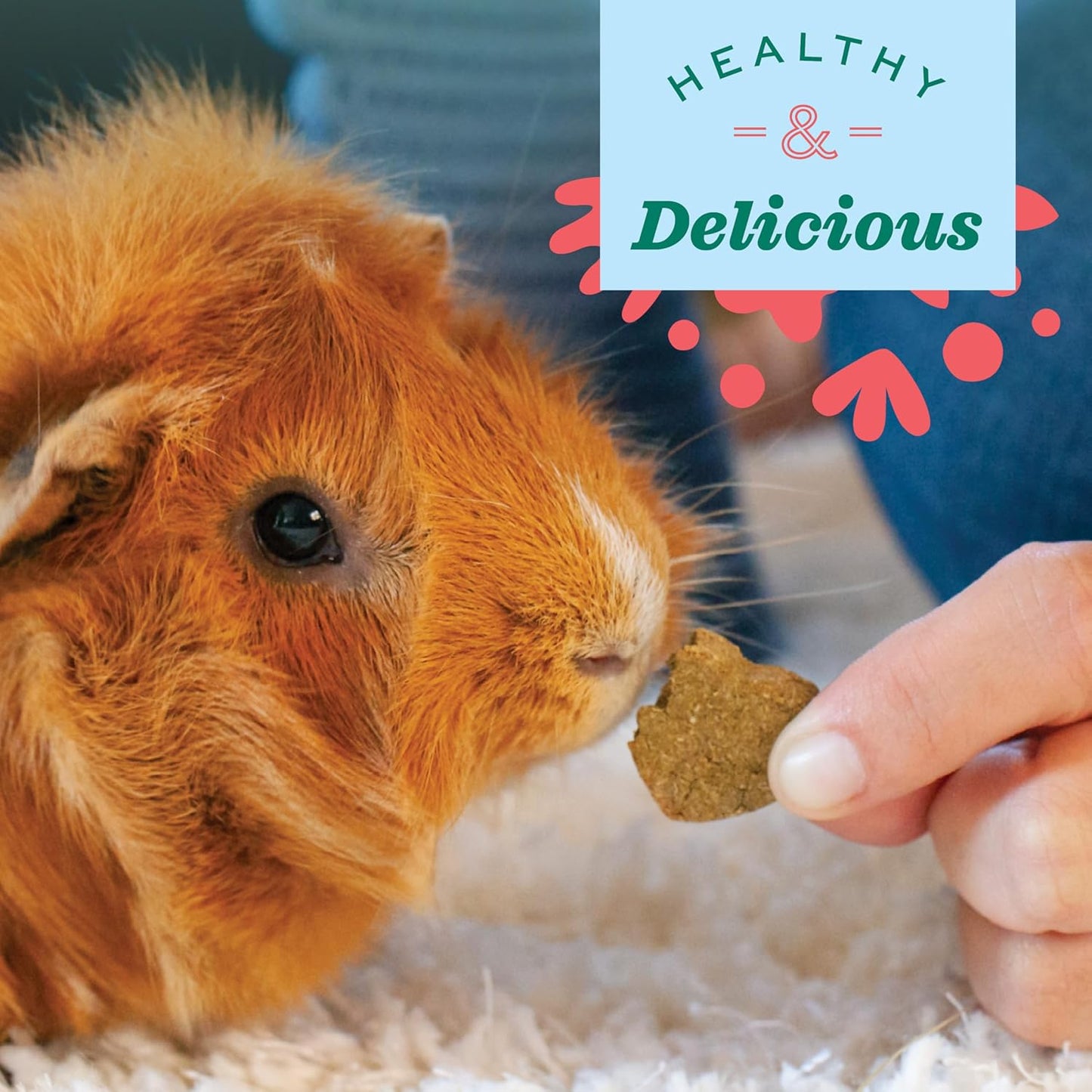 Animal Health Organic Rewards Barley Biscuit Treats, Barley Guinea Pig & Bunny Treats, Pet Snack for Rabbit, Carrot, Apple, Made with Guinea Pig Hay, Alfalfa for Rabbit, 2.65 Oz Bag