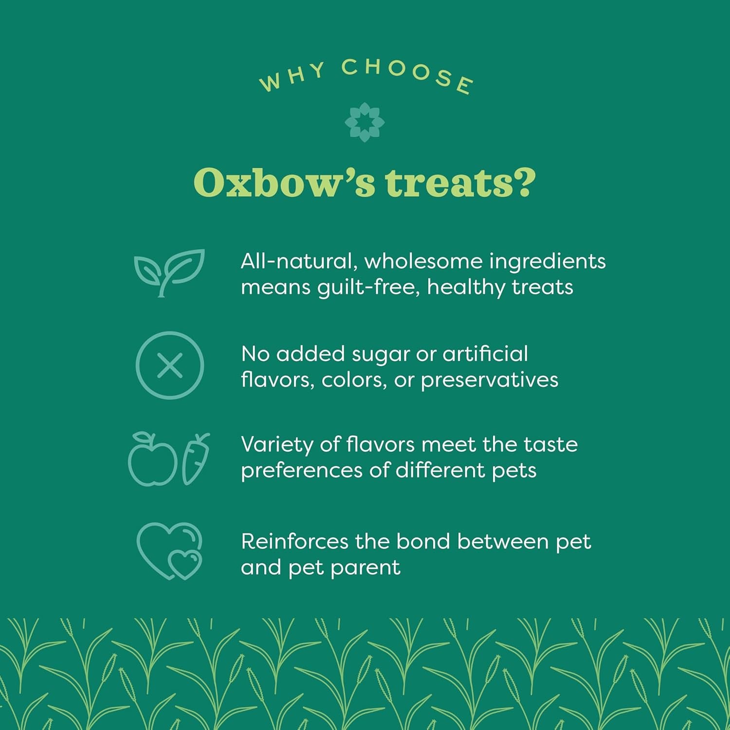 Animal Health Organic Rewards Barley Biscuit Treats, Barley Guinea Pig & Bunny Treats, Pet Snack for Rabbit, Carrot, Apple, Made with  Guinea Pig Hay, Alfalfa for Rabbit, 2.65 Oz Bag