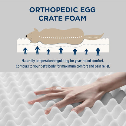 Dog Bed Medium Size Dog - Orthopedic Flat Puppy Beds with Removable Washable Cover, Egg Crate Foam Pet Mat, Suitable for Pet up to 35 Lbs